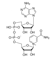 НАД (окисленный), не менее 97%, AppliChem, 1 г