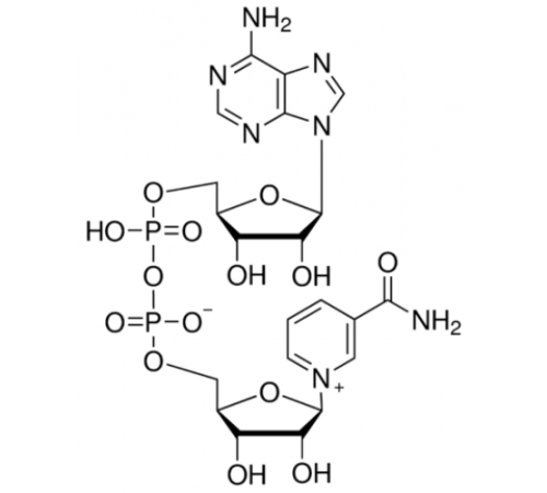 НАД (окисленный), не менее 97%, AppliChem, 1 г
