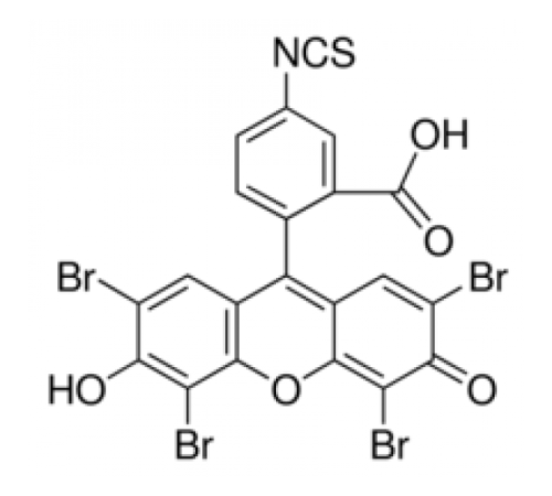 Эозин 5-изотиоцианат 95,0% (УФ) Sigma 45245