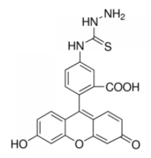 Флуоресцеин-5-тиосемикарбазид, пригодный для флуоресценции, ~ 80% (HPCE) Sigma 46985