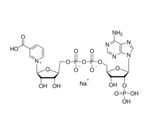 Натриевая соль адениндинуклеотидфосфата никотиновой кислоты 92,5% Sigma N5655