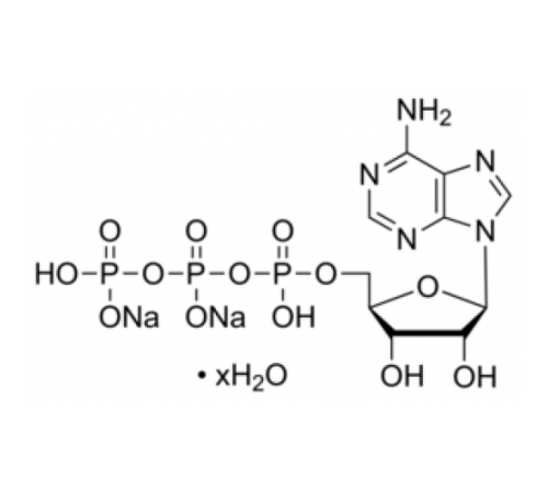 Флакон с гидратом динатриевой соли аденозин-5'-трифосфата (АТФ) 30 мкг Sigma A1852