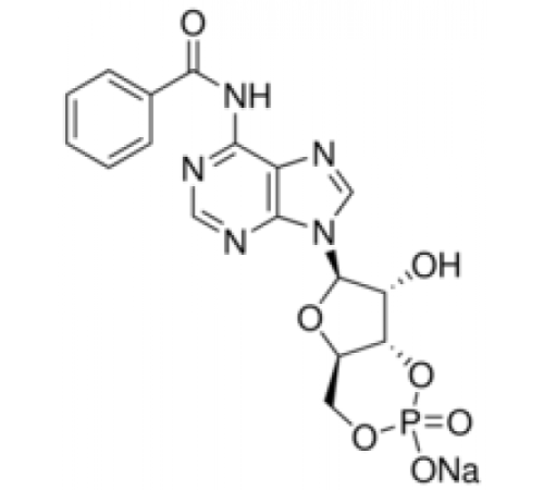 Натриевая соль 6-Bnz-цАМФ 98% (ВЭЖХ) Sigma B4560