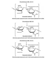 Хондроитиназа AC из рекомбинанта Flavobacterium heparinum, экспрессируемая в E. coli, 200 единиц / мг белка, для анализа хондроитинсульфата Sigma E2039