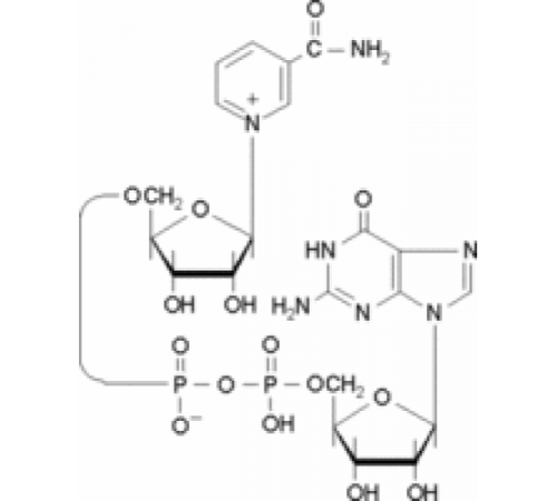 Никотинамидгуаниндинуклеотид натриевая соль фосфодиэстераза и субстрат АДФ-рибозилциклазы Sigma N5131