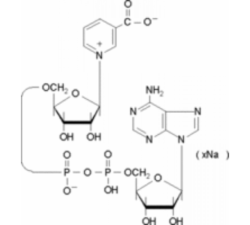 Натриевая соль адениндинуклеотида никотиновой кислоты 98% Sigma N4256