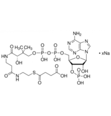 Натриевая соль сукцинилкофермента А 85% Sigma S1129