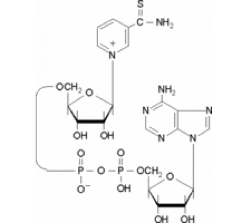 Тионикотинамидадениндинуклеотид 90% Sigma T7375