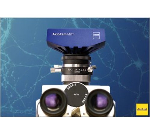 Камера цифровая монохромная, 1,4 Мп, MRm, Zeiss Камера цифровая монохромная, 1,4 Мп, MRm, Zeiss