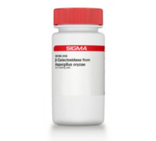 βГалактозидаза из Aspergillus oryzae 8,0 Единиц / мг твердого вещества Sigma G5160