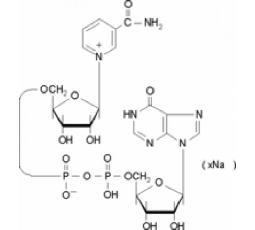 Натриевая соль никотинамид-гипоксантиндинуклеотида 92% Sigma N6506