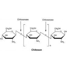 Хитозаназа из лиофилизированного порошка Streptomyces griseus,> 50 мкг / мг белка (Bradford) Sigma C9830