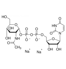 Натриевая соль уридина 5'-дифосфо-N-ацетилглюкозамина 98% Sigma U4375