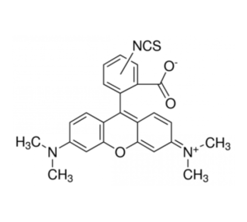 Смешанные изомеры тетраметилродамина изотиоцианата, подходящие для флуоресценции, смесь изомеров Sigma 87918