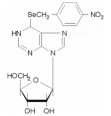 Се- (п-нитробензилβ6-селеноинозин 95% Sigma N1134