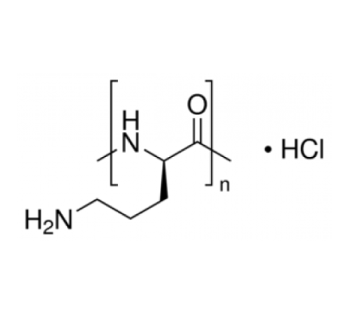 Поли-L-орнитина гидрохлорид мол. Масса 15,000-30,000 Sigma P2533