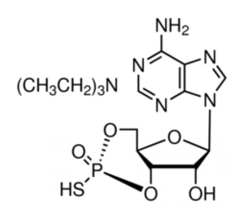 Порошок триэтиламмониевой соли Rp-аденозина 3 ', 5'-циклического монофосфоротиоата, 98% (ВЭЖХ) Sigma A165