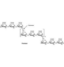 Пуллуланаза из лиофилизированного порошка Klebsiella pneumoniae, 10-30 мкг / мг белка Sigma P1067