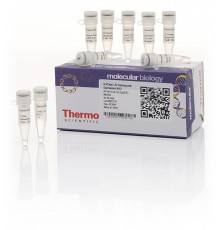 Набор для безлигазного клонирования aLICator LIC Cloning and Expression Kit 2, Thermo FS