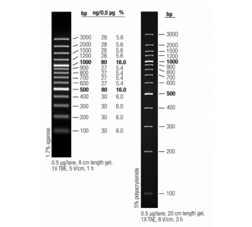 Маркер длин ДНК GeneRuler 100 bp Plus, 14 фрагментов от 100 до 1000 п.н., готовый к применению, 0,5 мкг/мкл, Thermo FS